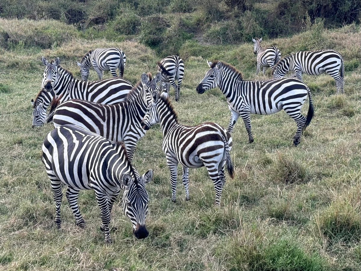3 Days 2 Nights Magnificent Views of Mt. Kilimanjaro Safari